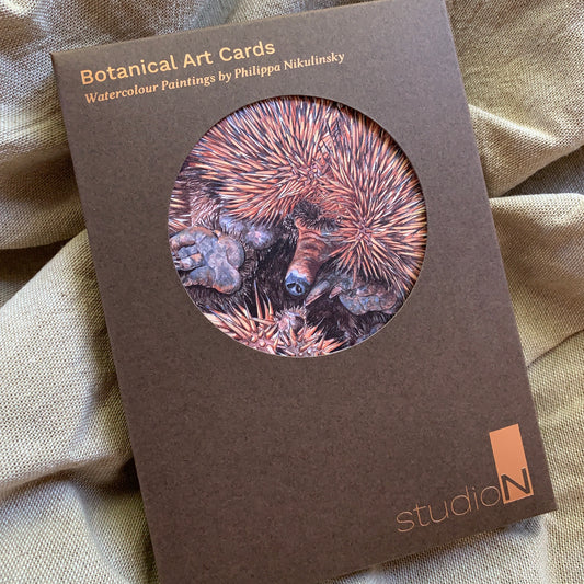 A boxed set of six A6 greeting cards featuring watercolor paintings of Australian animals, packaged with C6 envelopes.