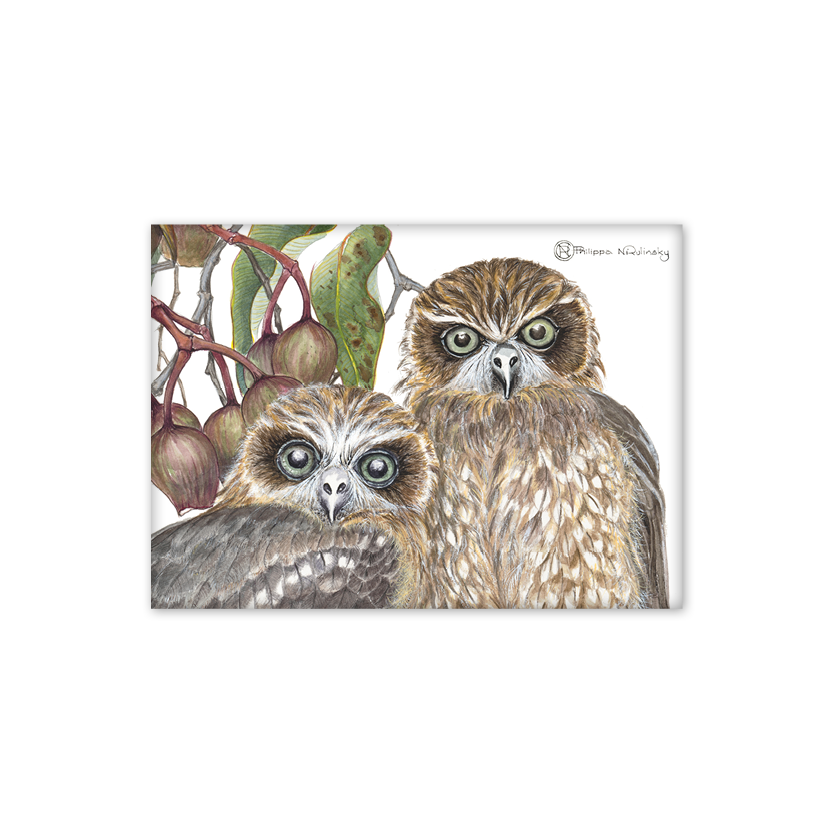 Tin Magnet: Boobook Owls