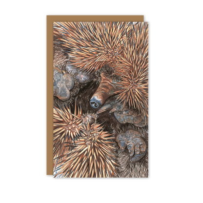 Echidna Australian Wildlife Card — Small