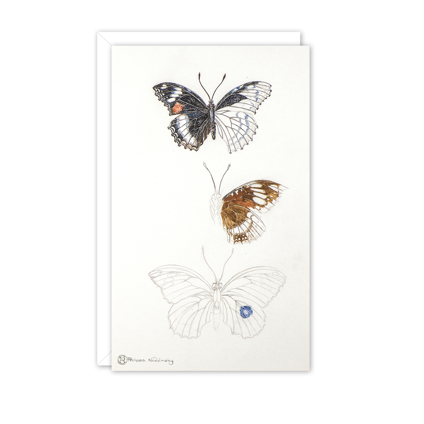 Butterfly Study Australian Wildlife Card — Small