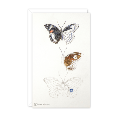 Butterfly Study Australian Wildlife Card — Small