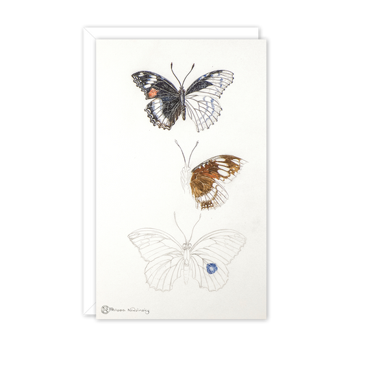 Butterfly Study Australian Wildlife Card — Small