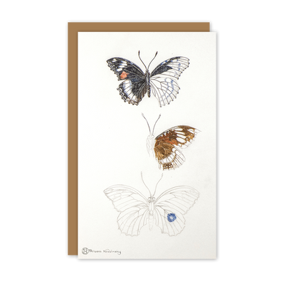 Butterfly Study Australian Wildlife Card — Small