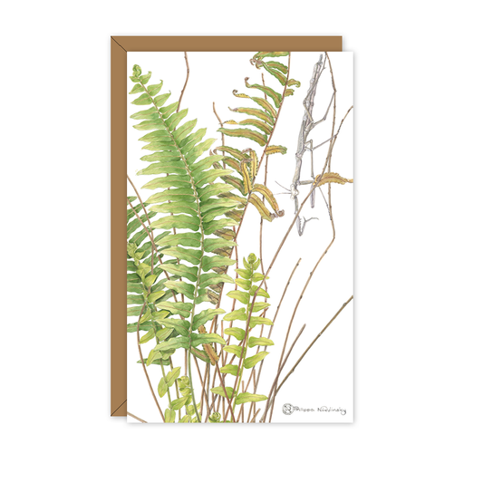 Fern & Mantis Australian Botanical & Wildlife Card — Small