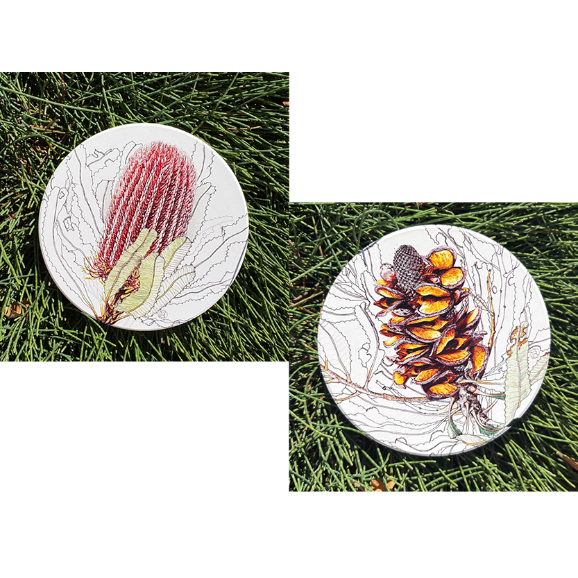 Banksia Coaster Bundle