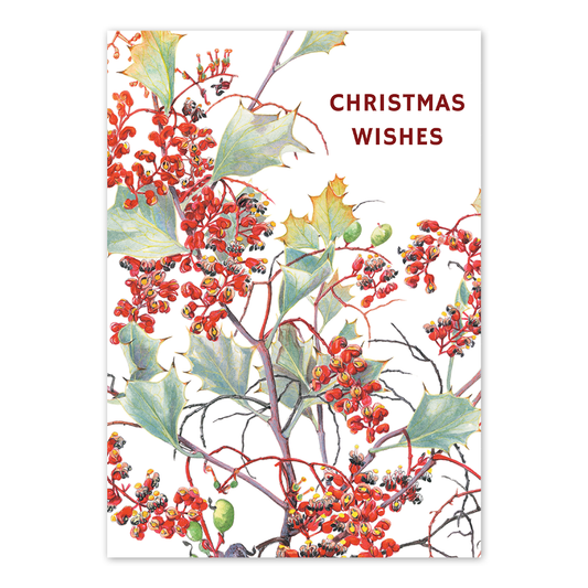A6 Card: Holly Grevillea 'Christmas Wishes'