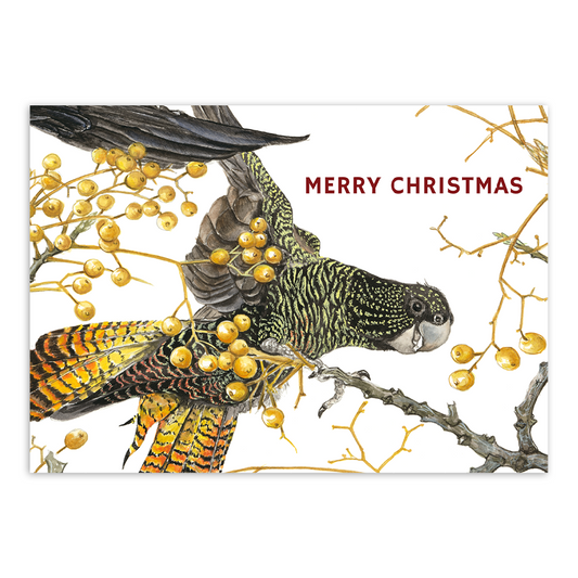 A6 Card: Red Tailed Black Cockatoo 'Merry Christmas'