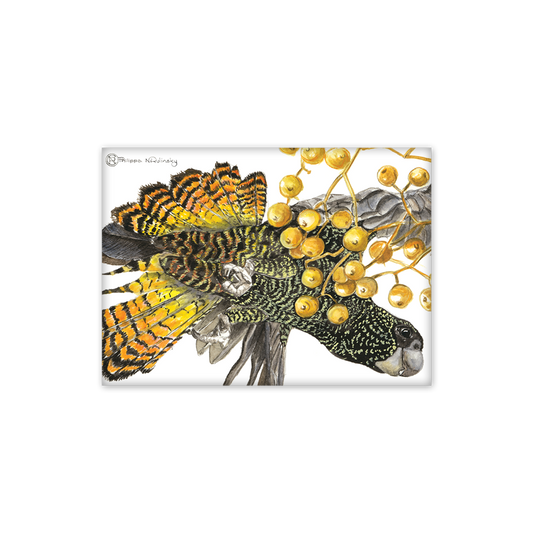 Red tailed Black Cockatoo Australian Wildlife Magnet