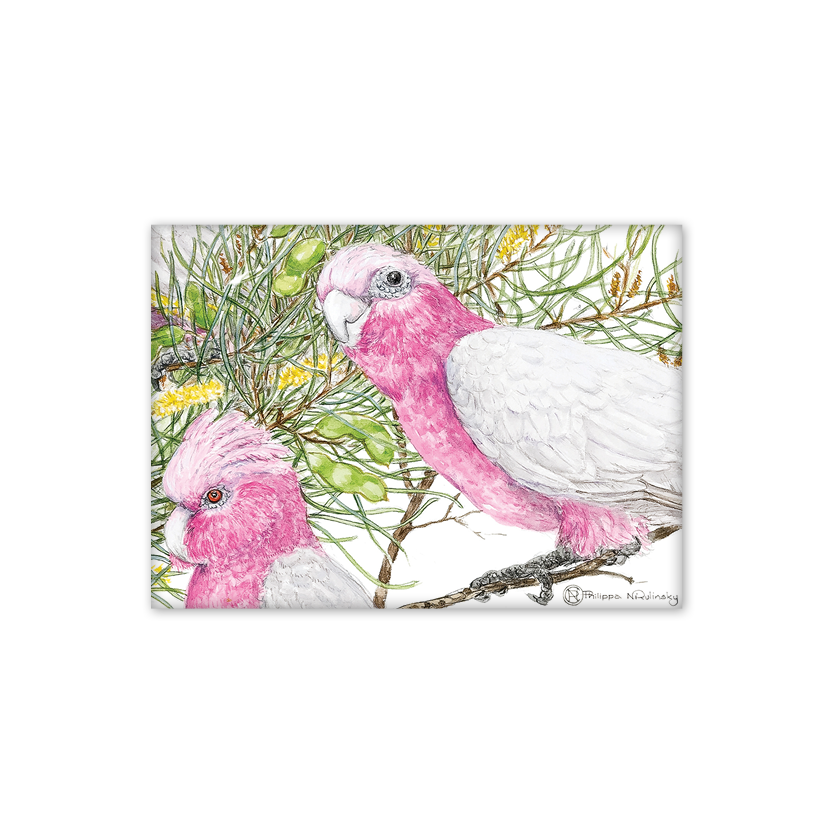 Galahs Australian Wildlife Magnet