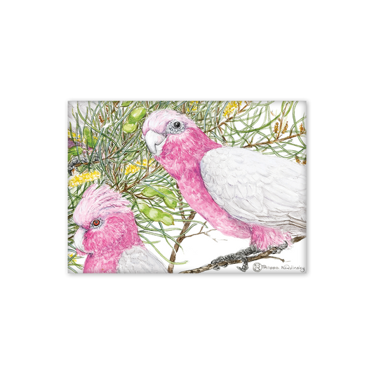 Galahs Australian Wildlife Magnet
