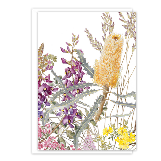 A6 Card: Wildflowers of the Murchison Ashburton