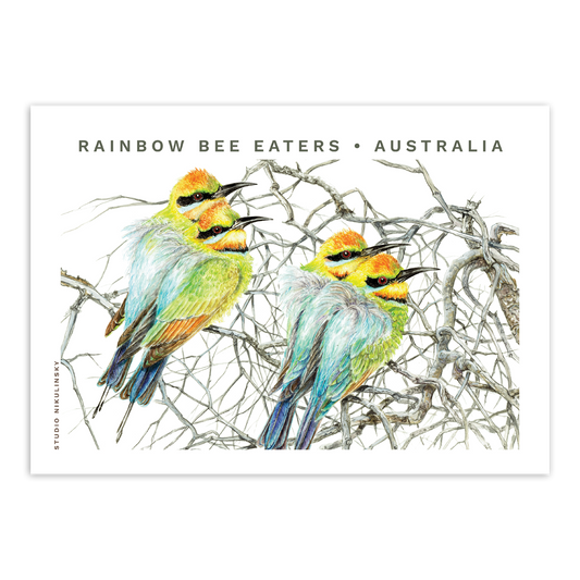 Postcard: Rainbow Bee Eaters