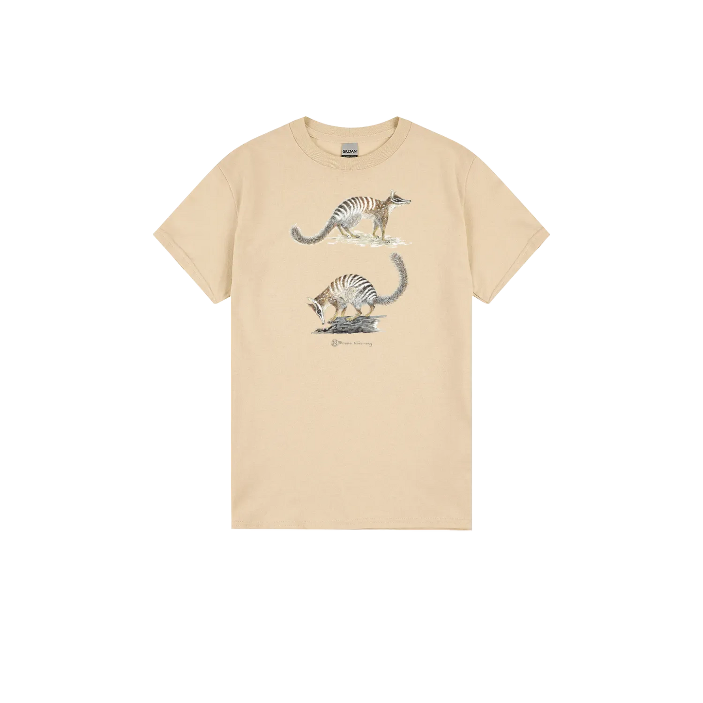 Sand front flat lay