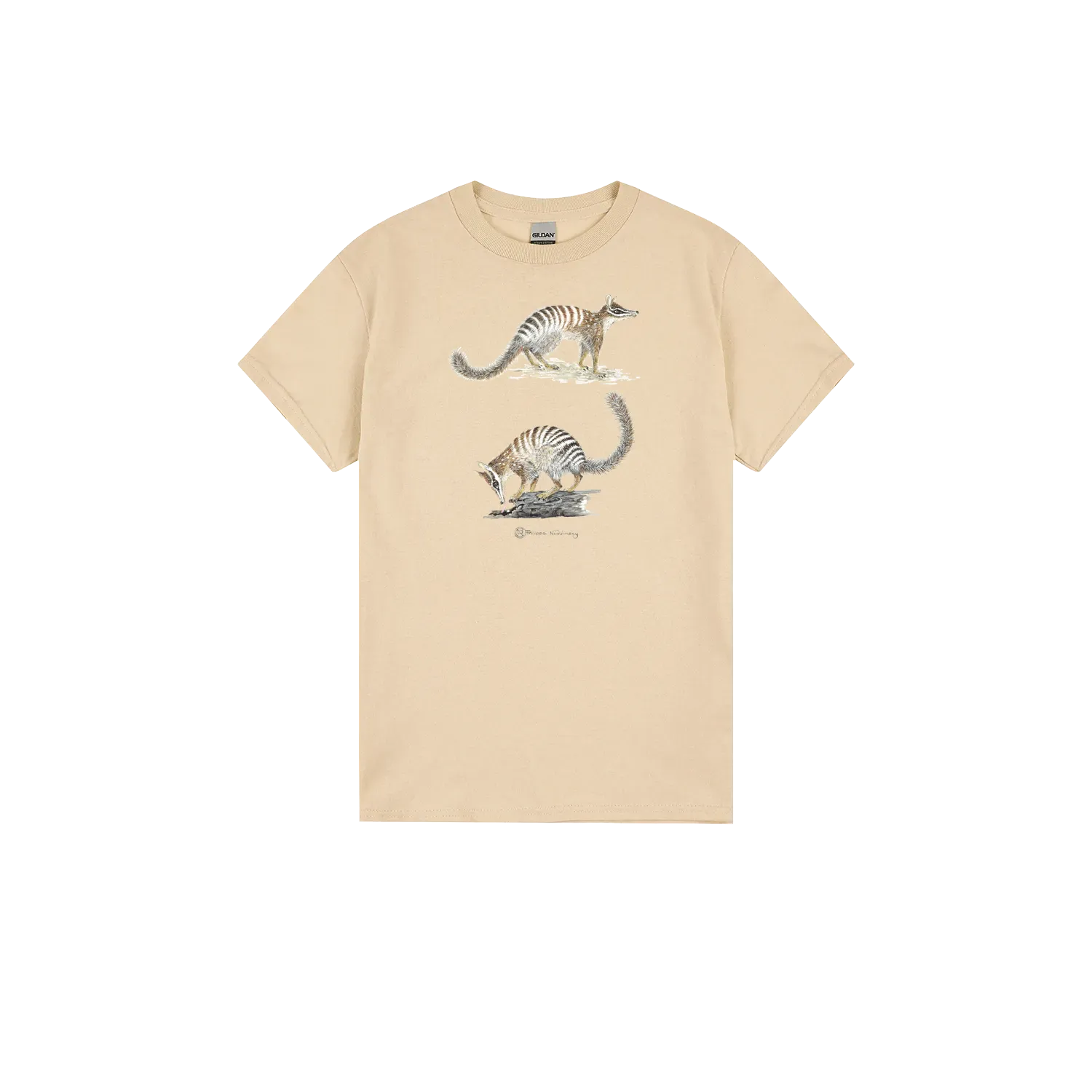 Sand front flat lay