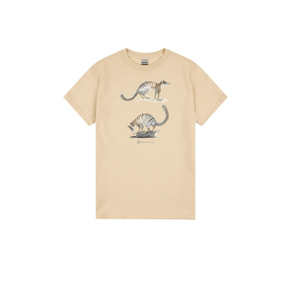 Sand front flat lay
