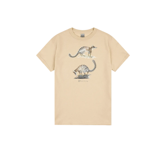 Sand front flat lay