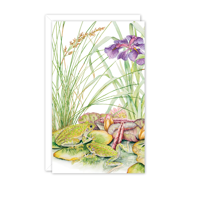 Small Card: Frog Pond