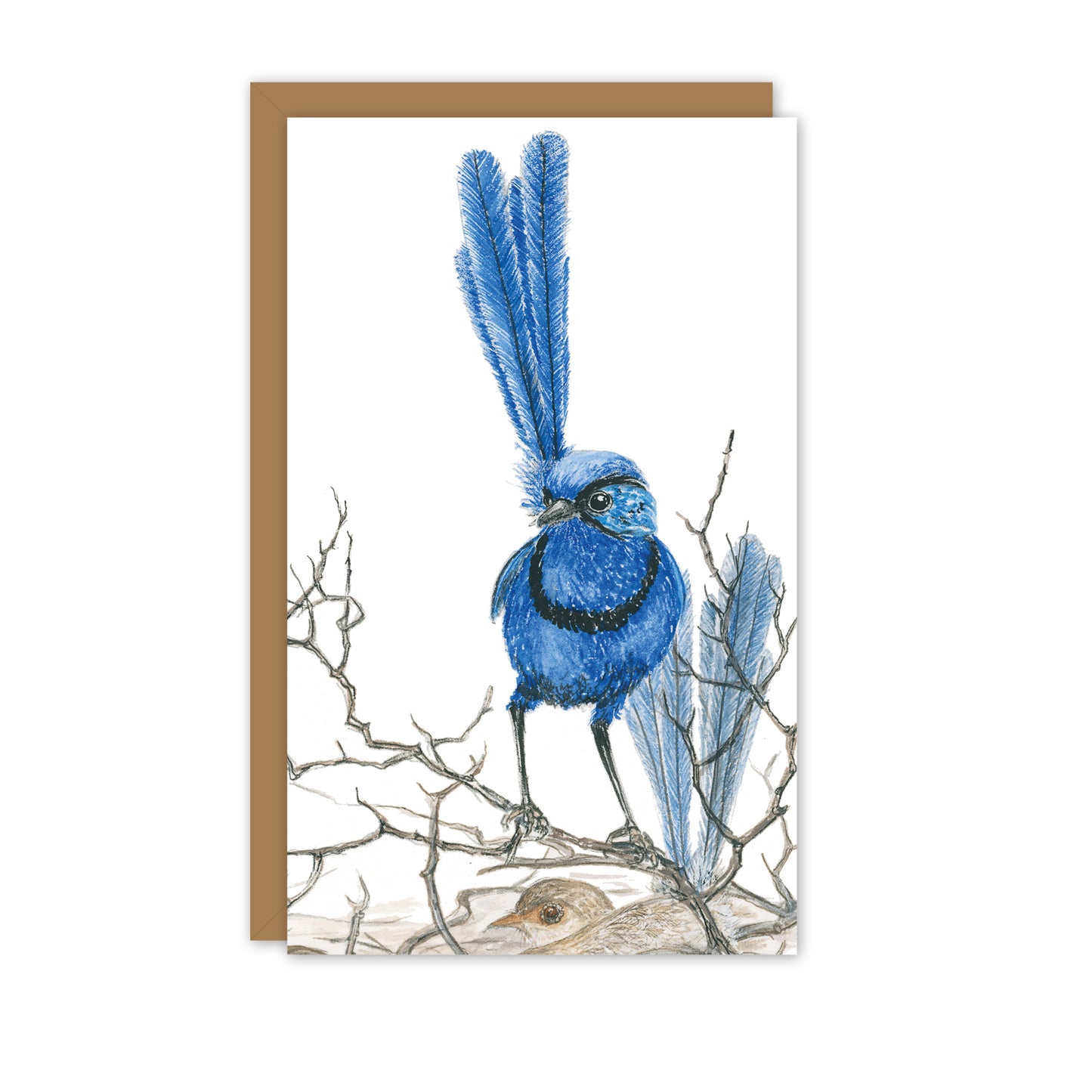 Small Card: Splendid Fairy Wren 