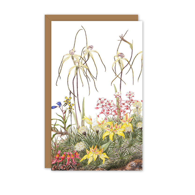 Small Card: Esperance Spider Orchids