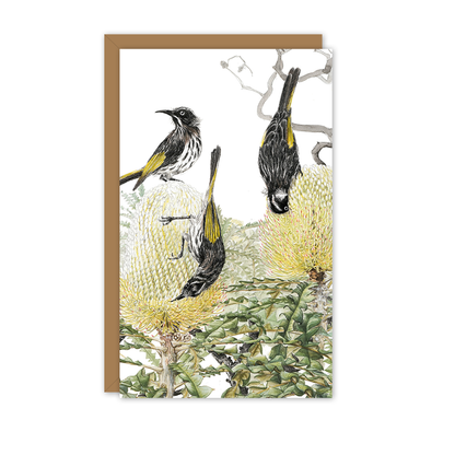 Small Card: Honeyeaters on Banksia