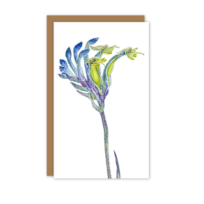 Small Card: Blue Kangaroo Paw