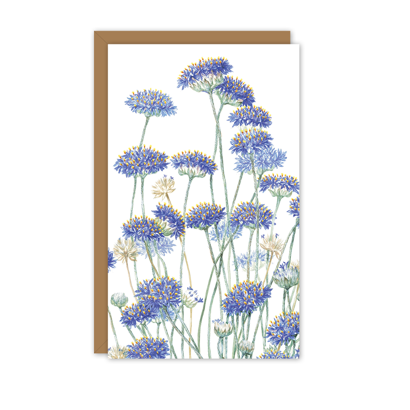 Small Card: Blue Pincushion