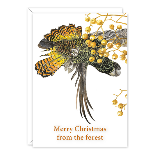 Red Tailed Black Cockatoo Christmas Australian Wildlife Christmas Card — A6