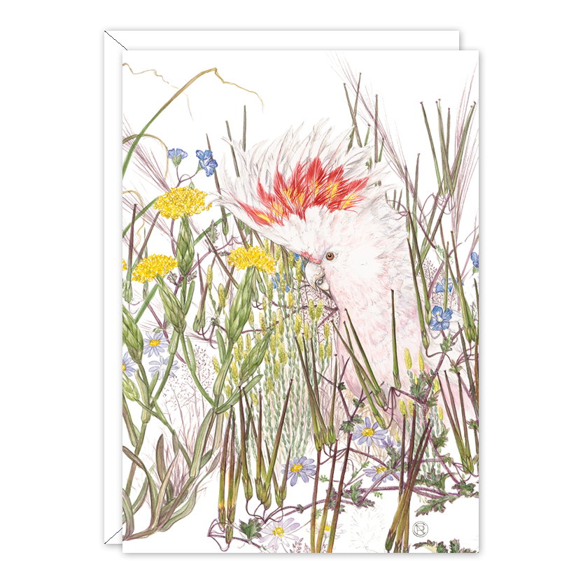 Pink Cockatoo Australian Wildlife Card — A6