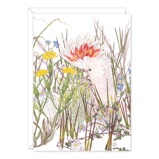 Pink Cockatoo Australian Wildlife Card — A6
