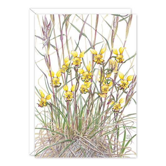 Granite Donkey Orchids Botanical Card — A6
