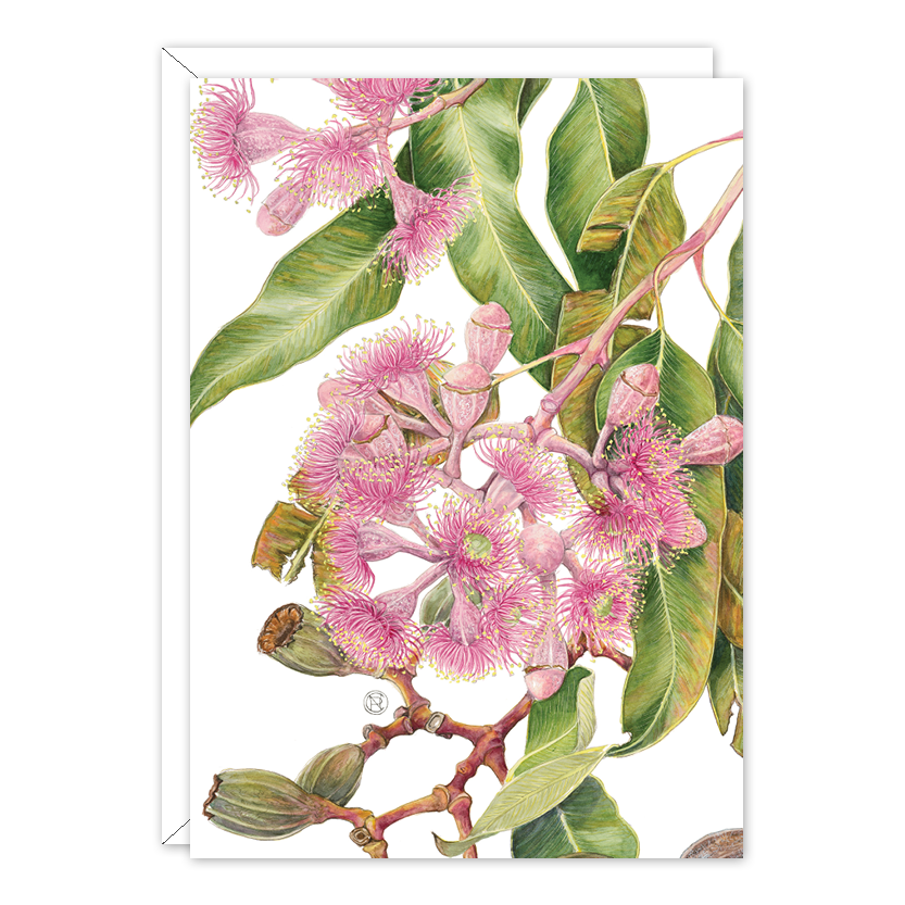 Swamp Bloodwood Botanical Card — A6