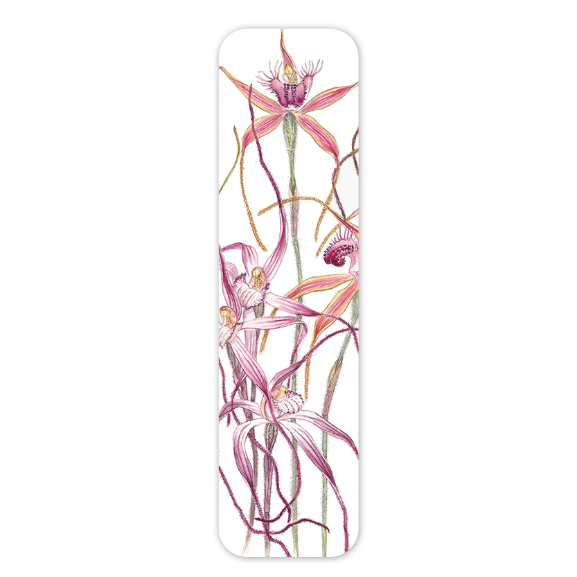 Bookmark: Spider Orchids