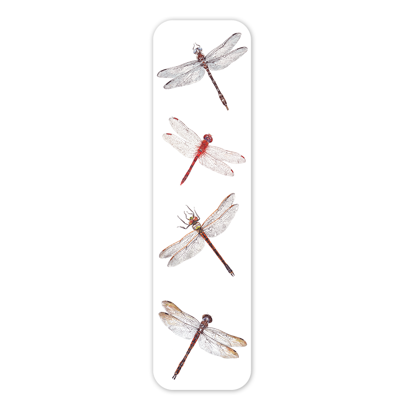 Bookmark: Dragonflies
