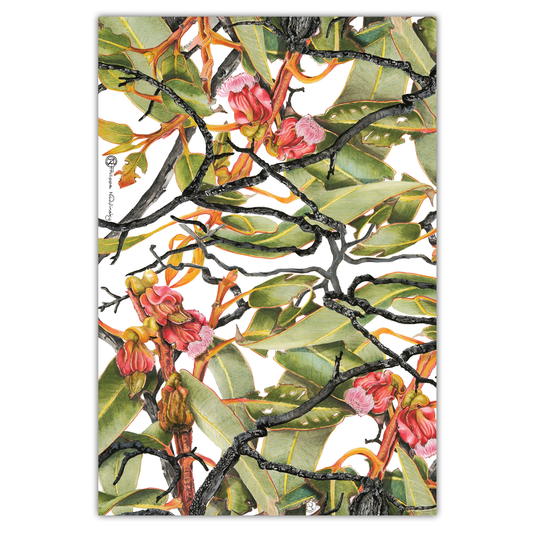 Tea Towel: Sweedman's Mallee