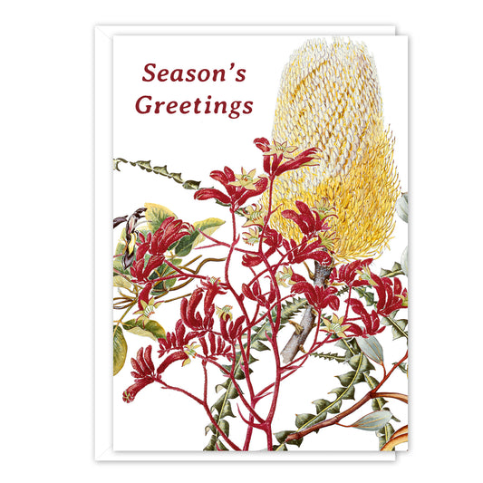 A6 Card: Banksia & kangaroo paw 'Season's Greetings'