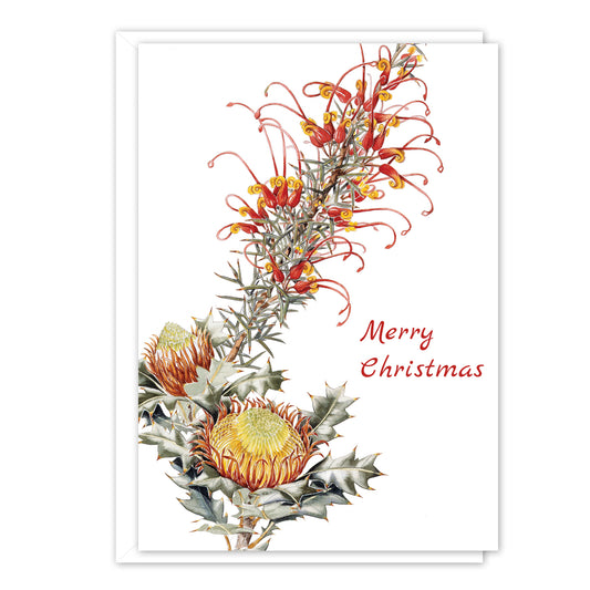 A6 Card: Banksia & Grevillea Merry Christmas