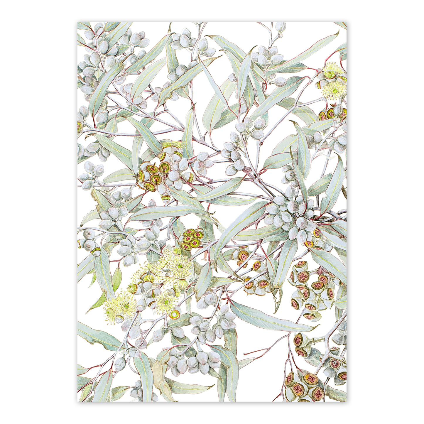 A6 Card: Eucalyptus Silver-topped Gimlet