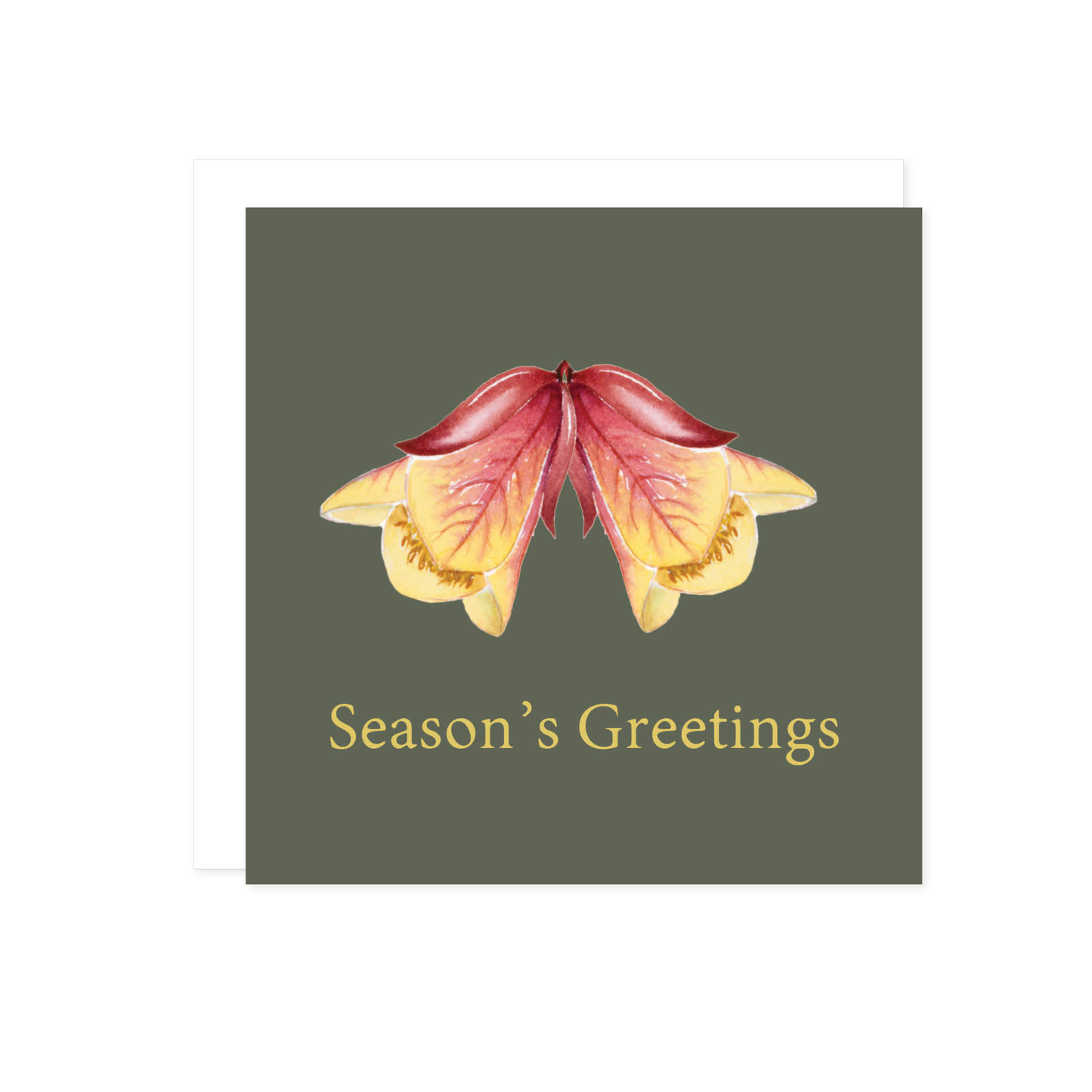 Square Card: Seasons Greetings Christmas Card