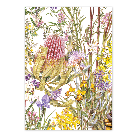 A6 Card: Wildflowers of Kings Park