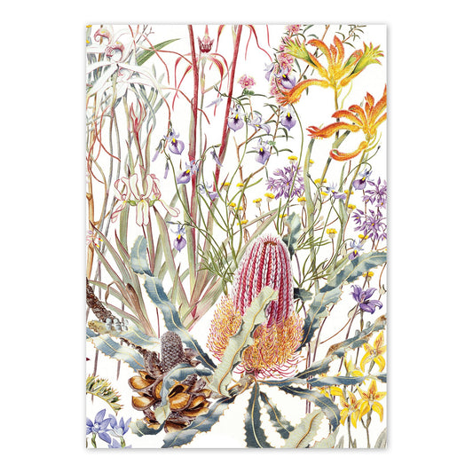 studio-nikulinsky A6 Card: Wildflowers of the Swan Coastal Plain by Philippa Nikulinsky