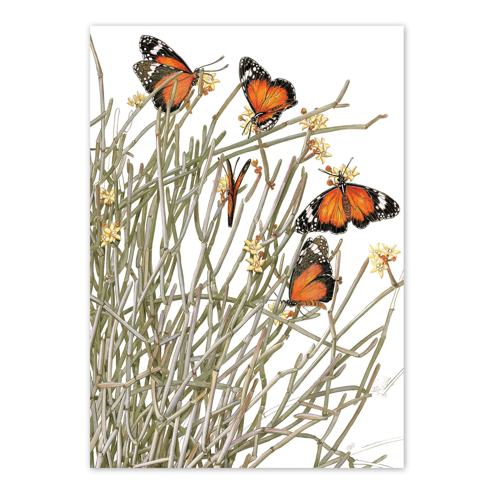 studio-nikulinsky A6 Card: Butterflies by Philippa Nikulinsky