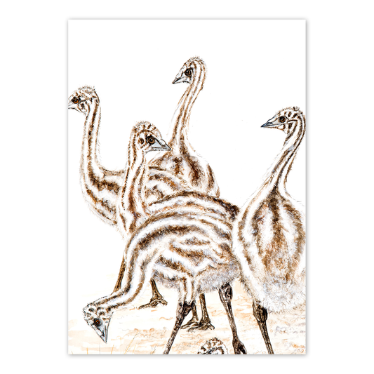 A6 Card: Emu chicks