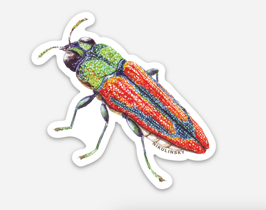 Red Jewel Beetle Sticker