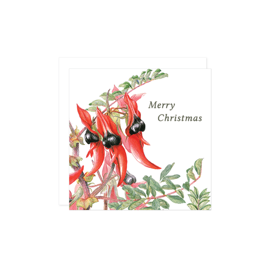 Square Card: Sturt's Desert Pea Mini Christmas Card