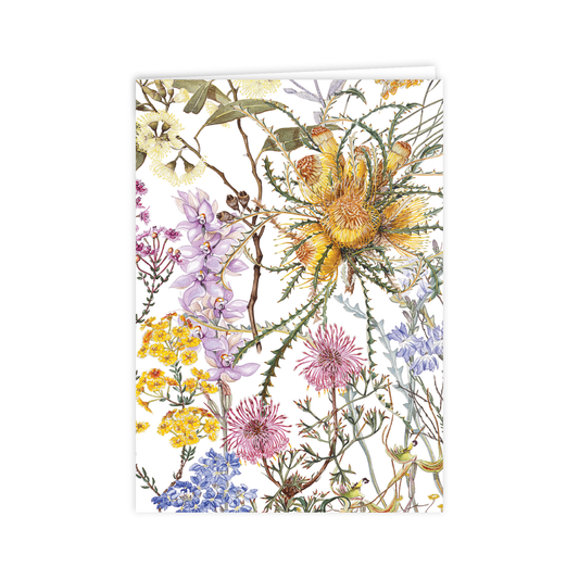 A6 Card: Wildflowers of the Southern Wheatbelt