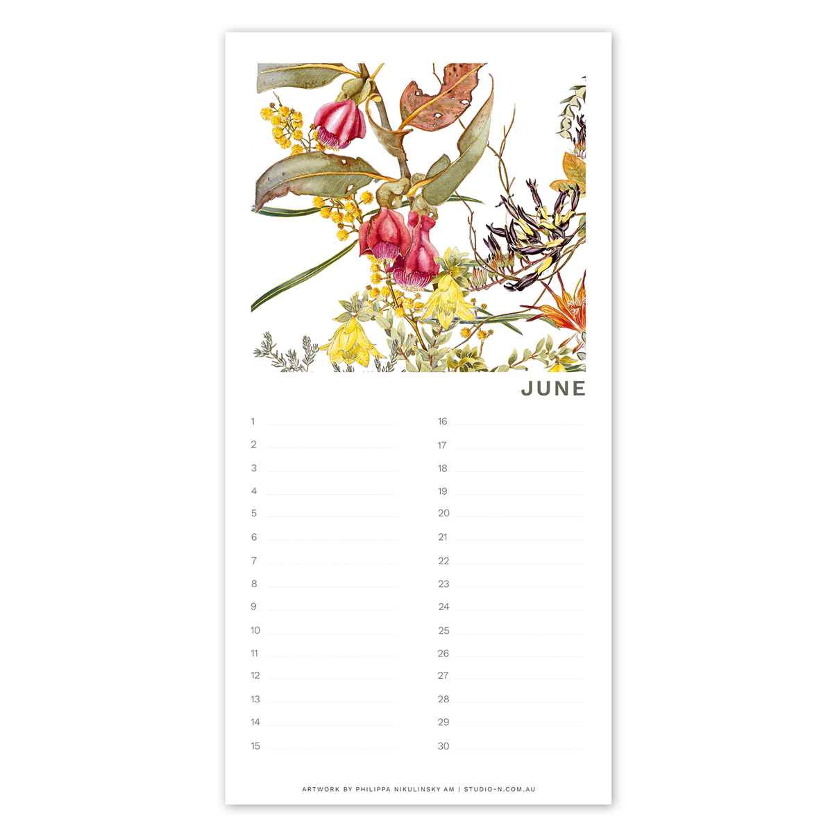 Perpetual Calendar Australian Wildflowers STUDIO NIKULINSKY