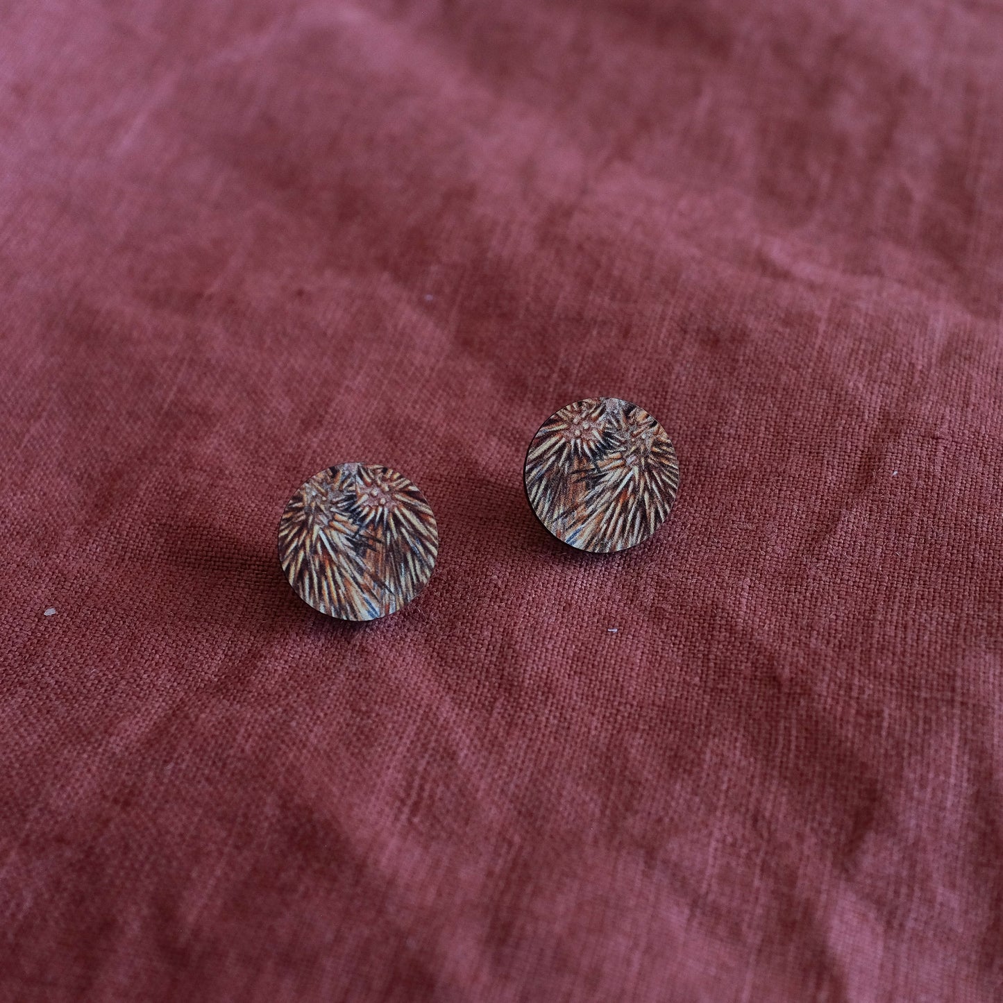 Wood Stud Earrings: Echidna