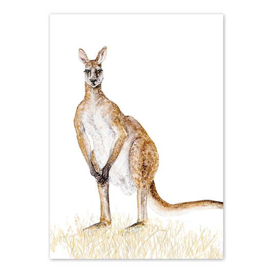 A6 Card: Red Kangaroo