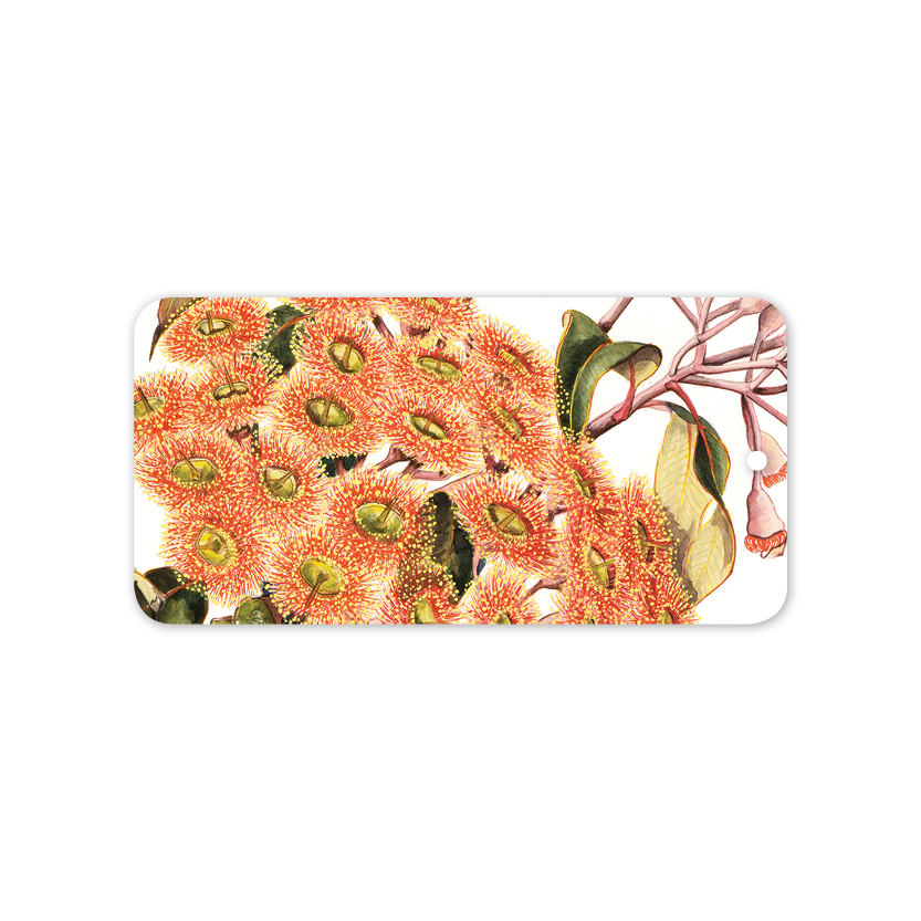 Rectangle Gift Tag: Red-flowering gum