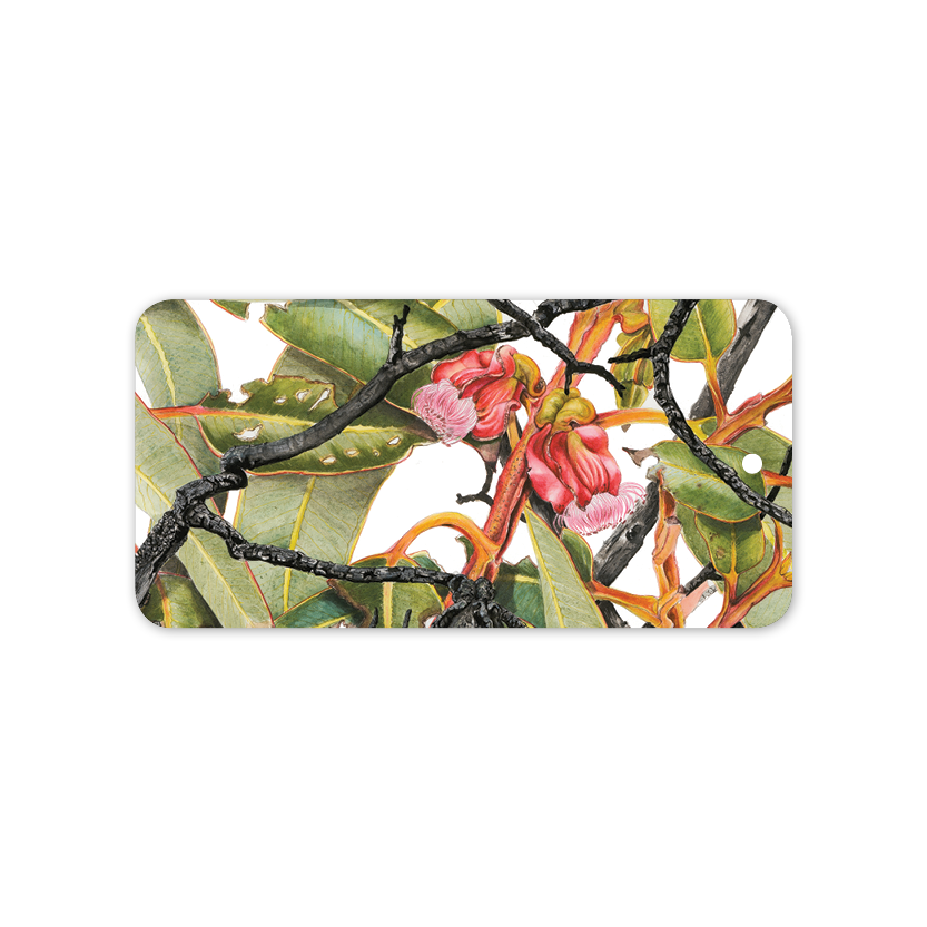Rectangle Gift Tag: Sweedman's Mallee